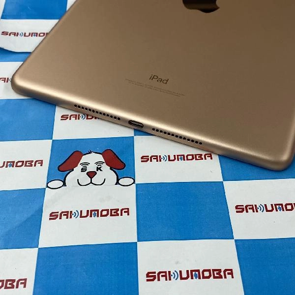 iPad 第6世代 docomo版SIMフリー 32GB MRM02J/A A1954