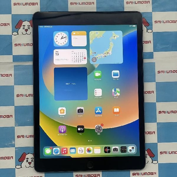 iPad 第9世代 Apple版SIMフリー 64GB MK473J/A A2604 極美品