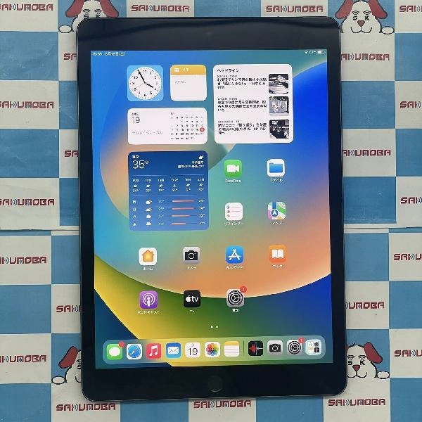 iPad 第9世代 SoftBank版SIMフリー 64GB MK473J/A A2604 極美品