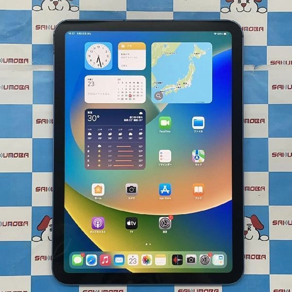 iPad 第10世代 SoftBank版SIMフリー 64GB MQ6K3J/A A2757 美品 ブルー