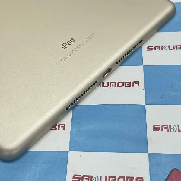 iPad 第5世代 docomo版SIMフリー 32GB MPG42J/A A1823 極美品