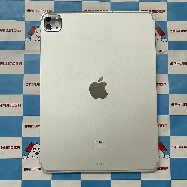 iPad Pro 11インチ 第2世代 au版SIMフリー 256GB MXE52J/A A2230 シルバー