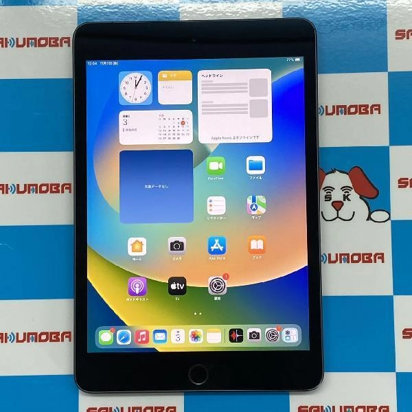 iPad mini 第5世代 docomo版SIMフリー 64GB MUX52J/A A2124 極美品 スペースグレイ