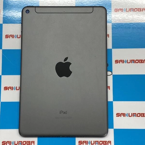 iPad mini 第5世代 docomo版SIMフリー 64GB MUX52J/A A2124 極美品 スペースグレイ