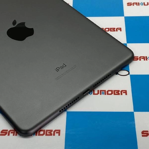 iPad mini 第5世代 docomo版SIMフリー 64GB MUX52J/A A2124 極美品 スペースグレイ