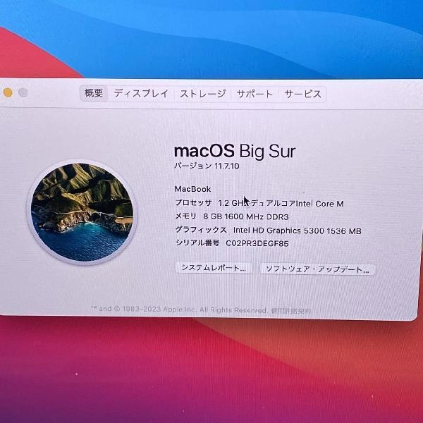 Macbook Retina 12インチ Early 2016 512GB 1.2GHz デュアルコア Intel Core m5 8GB 512GB A1534 ゴールド