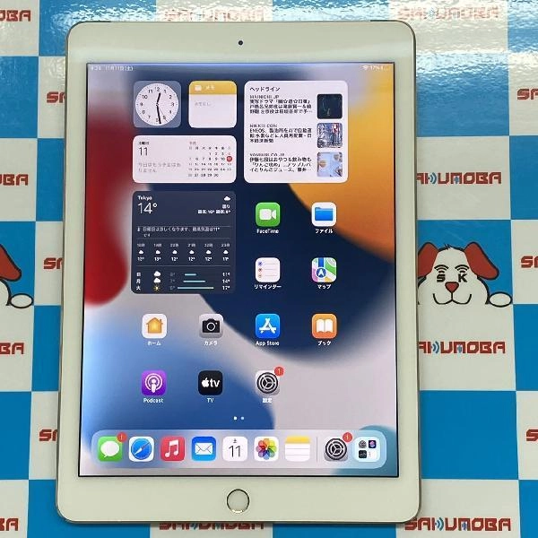 iPad Air 第2世代 Apple版SIMフリー 128GB MH1G2J/A A1567 訳あり美品 ゴールド