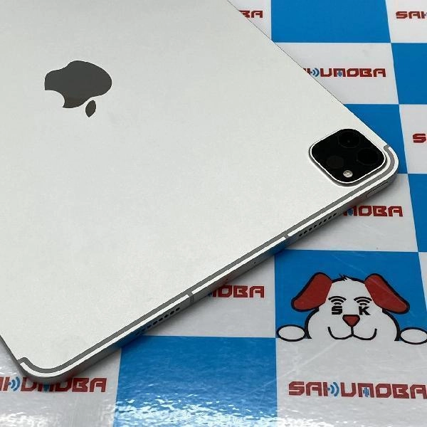 iPad Pro 11インチ 第3世代 SoftBank版SIMフリー 256GB MHW83J/A A2459 極美品 シルバー
