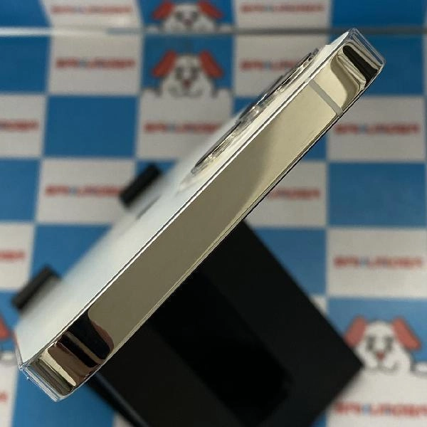 iPhone12 Pro docomo版SIMフリー 256GB MGMA3J/A A2406 シルバー