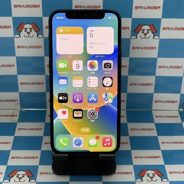 iPhone12 mini docomo版SIMフリー 128GB MGDP3J/A A2398 極美品 ブルー