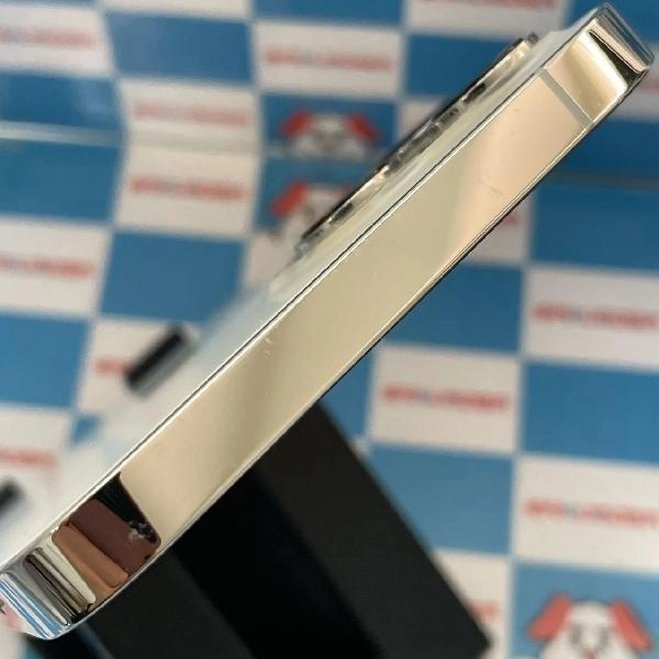 iPhone12 Pro Max docomo版SIMフリー 256GB MGD03J/A A2410 シルバー