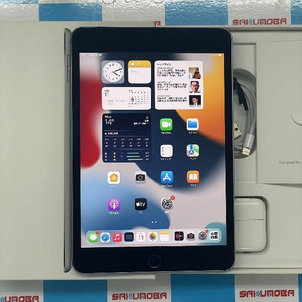 iPad mini 第4世代 Apple版SIMフリー 16GB MK6Y2J/A A1550 極美品 スペースグレイ