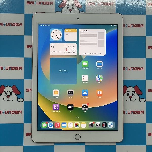 iPad 第6世代 docomo版SIMフリー 32GB MRM02J/A A1954 極美品