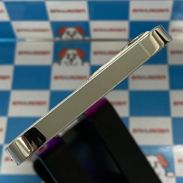 iPhone12 Pro docomo版SIMフリー 256GB MGMA3J/A A2406 美品 シルバー