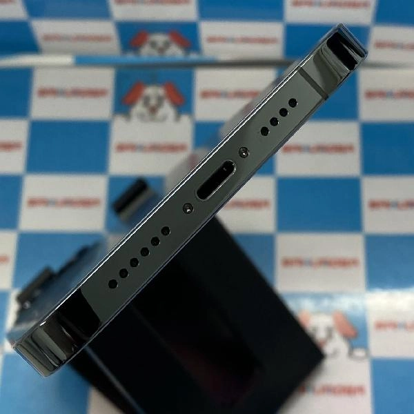 iPhone12 Pro Max docomo版SIMフリー 256GB NGD23J/A A2410 極美品 パシフィックブルー