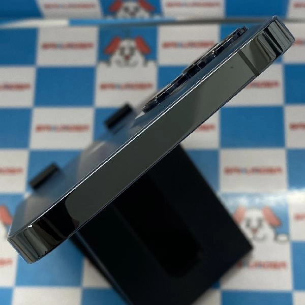 iPhone12 Pro Max docomo版SIMフリー 256GB NGD23J/A A2410 極美品 パシフィックブルー