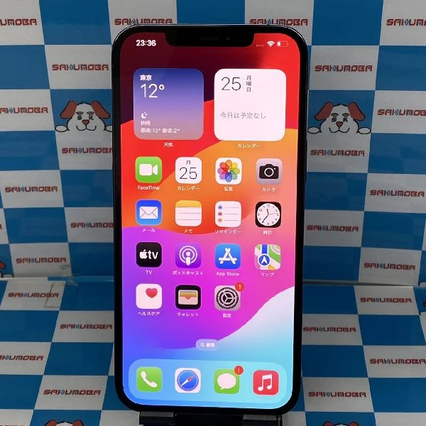 iPhone12 Pro Max docomo版SIMフリー 256GB NGD23J/A A2410 極美品 パシフィックブルー