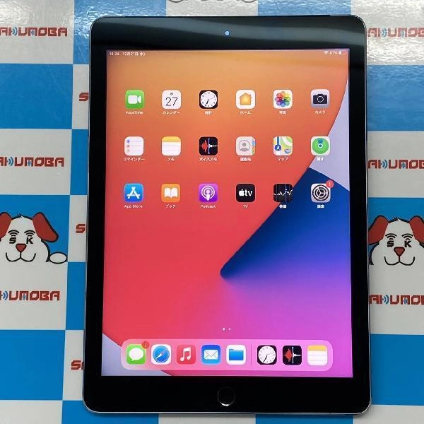 iPad Air 第2世代 Apple版SIMフリー 64GB NGHX2LL/A A1567 極美品 スペースグレイ