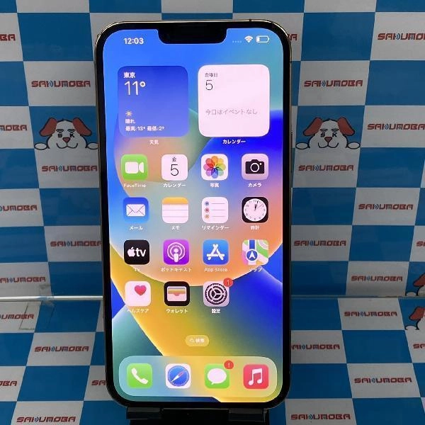 iPhone13 Pro Max docomo版SIMフリー 256GB MLJA3J/A A2641 極美品