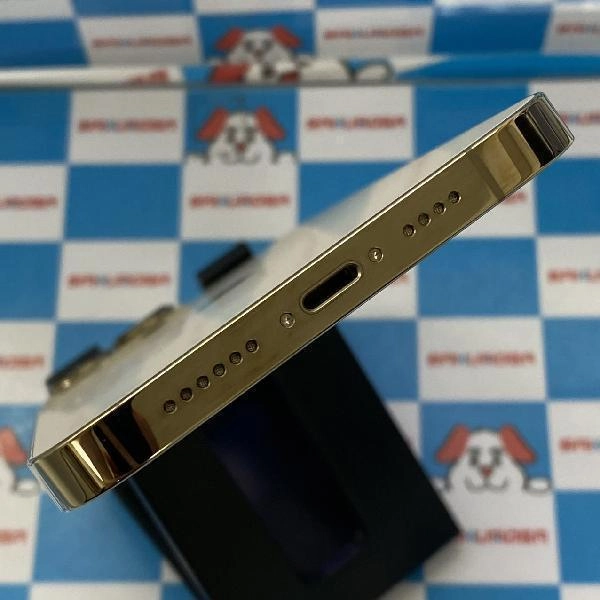 iPhone13 Pro Max docomo版SIMフリー 256GB MLJA3J/A A2641 極美品