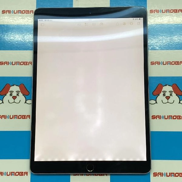iPad Pro 10.5インチ Wi-Fiモデル 256GB MPDY2LL/A A1701 光漏れ 訳あり品 スペースグレイ