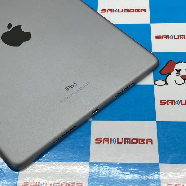 iPad Pro 10.5インチ Wi-Fiモデル 256GB MPDY2LL/A A1701 光漏れ 訳あり品 スペースグレイ