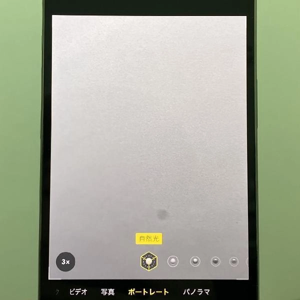 iPhone13 Pro Apple版SIMフリー 256GB MLUP3J/A A2636 美品