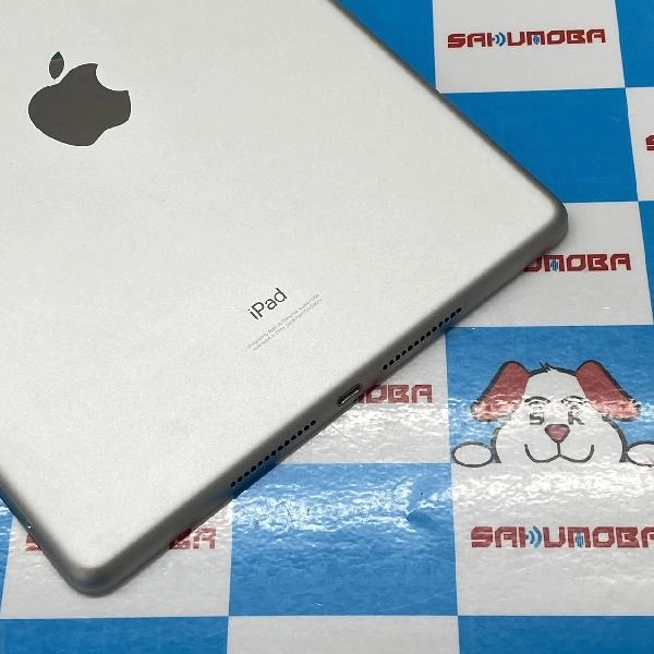 iPad 第7世代 docomo版SIMフリー 32GB MW6C2J/A A2198 極美品