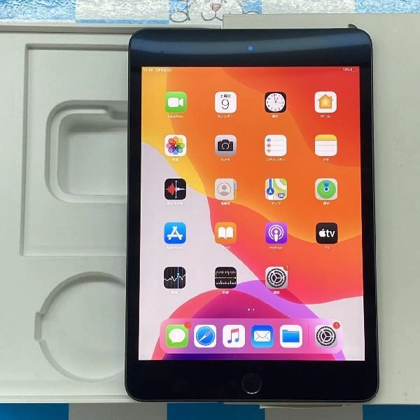 iPad mini 第5世代 SoftBank版SIMフリー 64GB MUX52J/A A2124 極美品 スペースグレイ