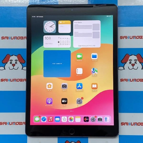 iPad 第7世代 docomo版SIMフリー 32GB MW6A2J/A A2198 極美品