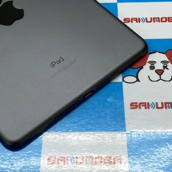 iPad mini 第5世代 Wi-Fiモデル 64GB MUQW2J/A A2133 極美品 スペースグレイ