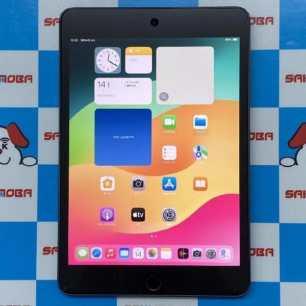 iPad mini 第5世代 Wi-Fiモデル 64GB MUQW2J/A A2133 極美品 スペースグレイ