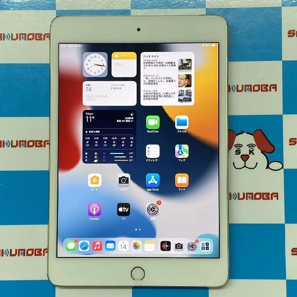 iPad mini 第4世代 docomo版SIMフリー 128GB MK782J/A A1550 ゴールド
