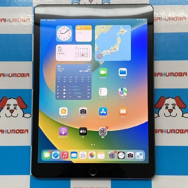 iPad 第7世代 Wi-Fiモデル 32GB MW742J/A A2197 極美品