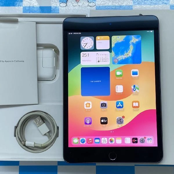 iPad mini 第5世代 Wi-Fiモデル 256GB MUU32J/A A2133 スペースグレイ
