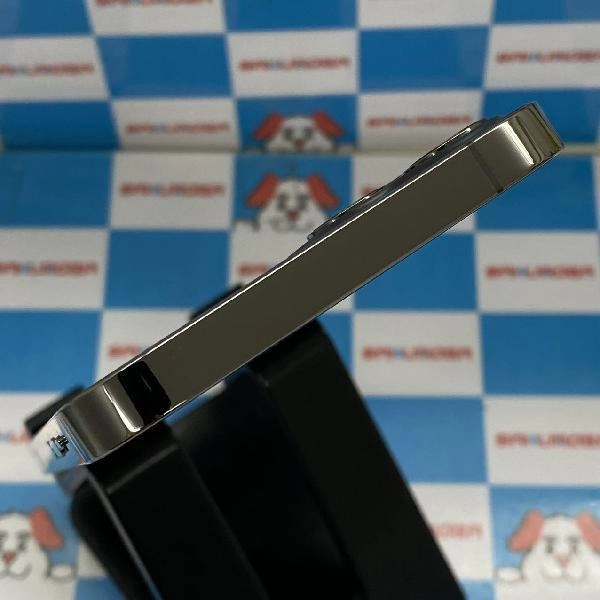 iPhone12 Pro docomo版SIMフリー 128GB NGM53J/A A2406 極美品 グラファイト