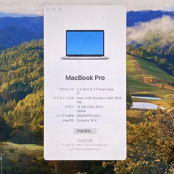 MacBook Pro 15インチ 2018  16GB 256GB MR962J/A シルバー