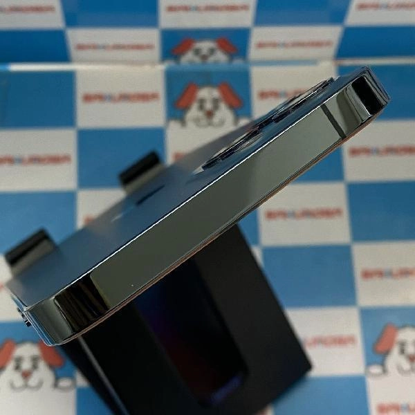 iPhone12 Pro docomo版SIMフリー 256GB MGMD3J/A A2406 美品 パシフィックブルー