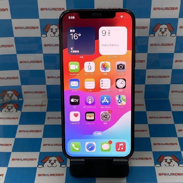 iPhone12 Pro docomo版SIMフリー 256GB MGMD3J/A A2406 美品 パシフィックブルー