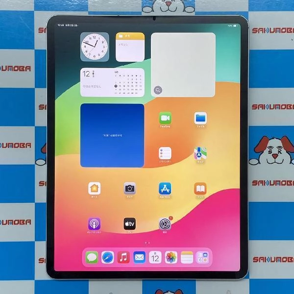iPad Pro 12.9インチ 第3世代 docomo版SIMフリー 256GB MTJ62J/A A1985 極美品 シルバー