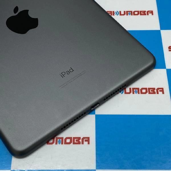iPad mini 第5世代 Apple版SIMフリー 64GB MUX52J/A A2124 極美品 スペースグレイ