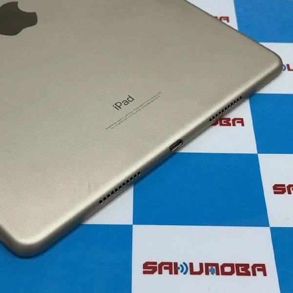 iPad Pro 10.5インチ docomo版SIMフリー 512GB MPMG2J/A A1709 美品 ゴールド