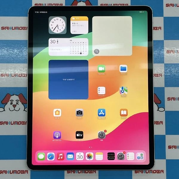 iPad Pro 12.9インチ 第4世代 SoftBank版SIMフリー 512GB MXF82J/A A2232 シルバー
