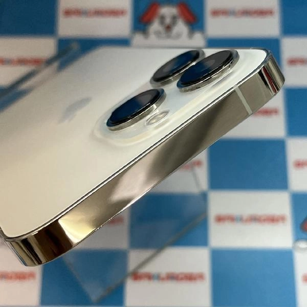 iPhone13 Pro docomo版SIMフリー 256GB MLUP3J/A A2636 極美品