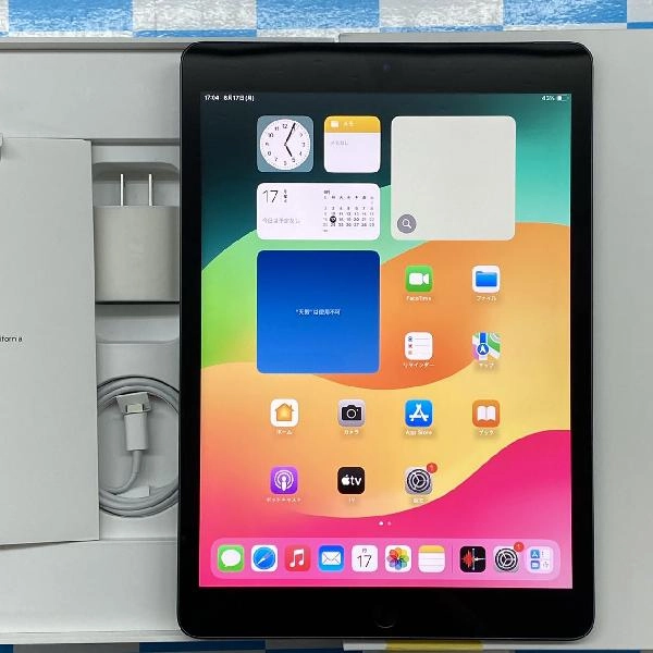 iPad 第9世代 au版SIMフリー 64GB MK473J/A A2604 訳あり新品