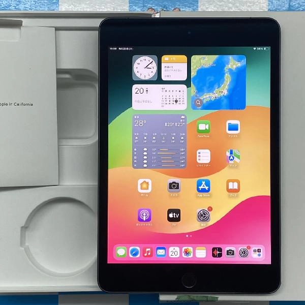 iPad mini 第5世代 au版SIMフリー 256GB MUXC2J/A A2124 極美品 スペースグレイ