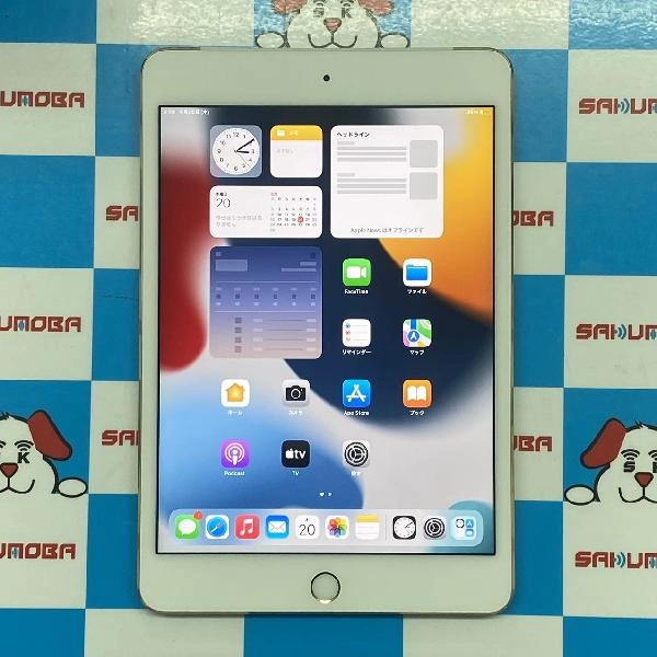 iPad mini 第4世代 docomo版SIMフリー 16GB MK712J/A A1550 極美品 ゴールド