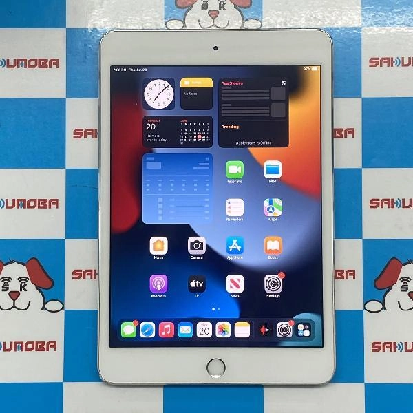 iPad mini 第4世代 Wi-Fiモデル 128GB MK9P2J/A A1538 訳あり品 シルバー