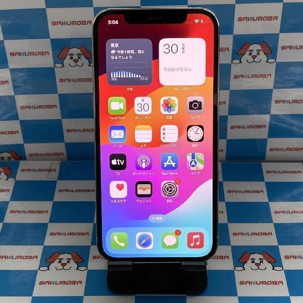 iPhone12 Pro docomo版SIMフリー 256GB MGMA3J/A A2406 極美品 シルバー