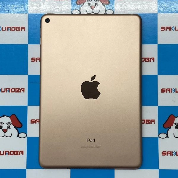 iPad mini 第5世代 Wi-Fiモデル 256GB MUU62J/A A2133 極美品 ゴールド